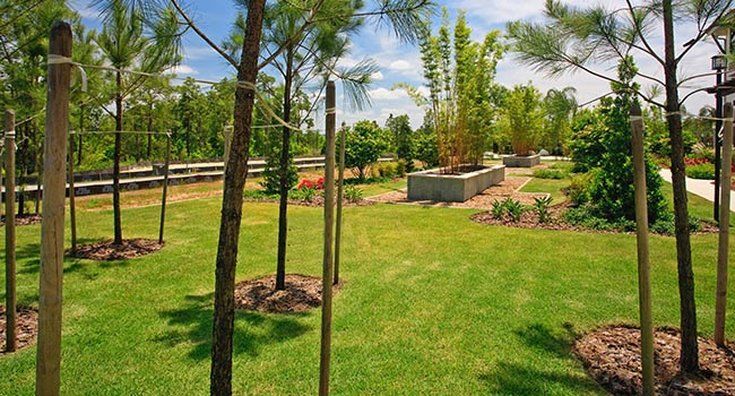 Damai Resort אורלנדו מראה חיצוני תמונה